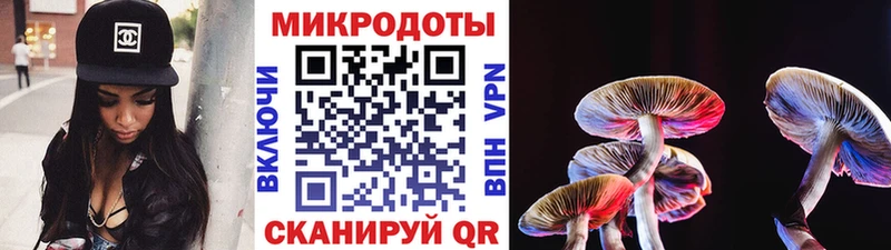 Галлюциногенные грибы мицелий  Выборг 