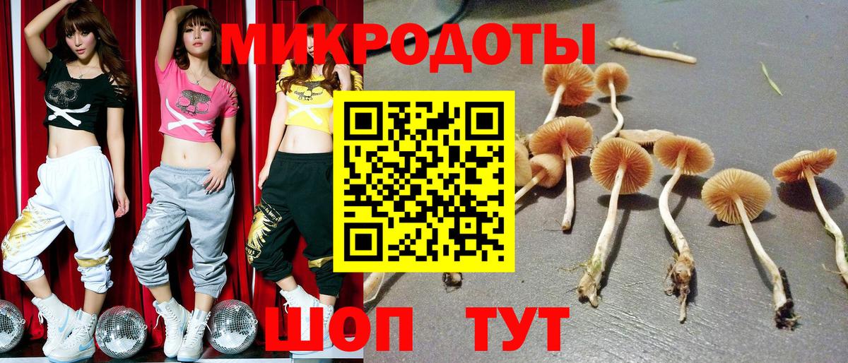 Псилоцибиновые грибы GOLDEN TEACHER  Вход с VPN  Выборг 